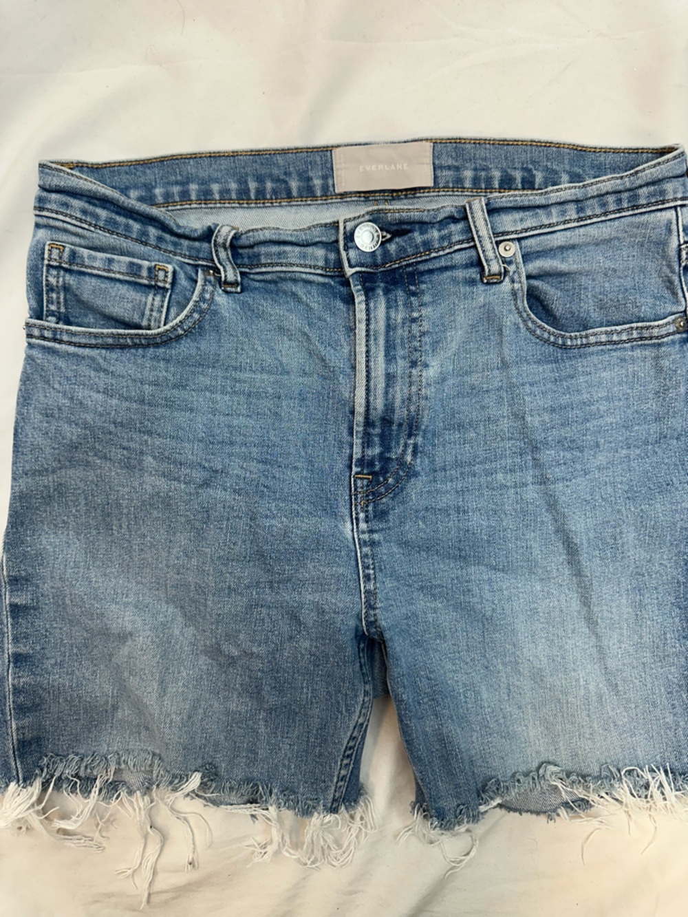 Everlane Light Blue Denim Jean Shorts 31